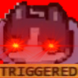 triggered cat.png