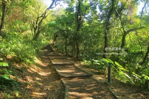 00007 文山森林公園綠蔭凝碧.webp