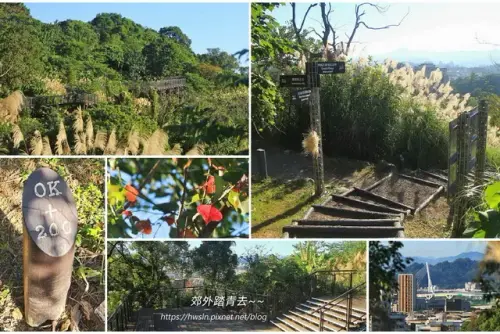00008 文山森林公園闊景平台.webp