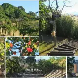 00008 文山森林公園闊景平台