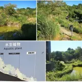 00015 文山森林公園生態滯洪池