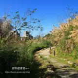 00023 文山森林公園白芒連天