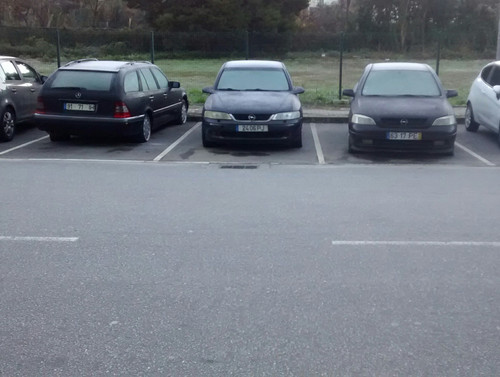 IMG 20231222 084603.jpg