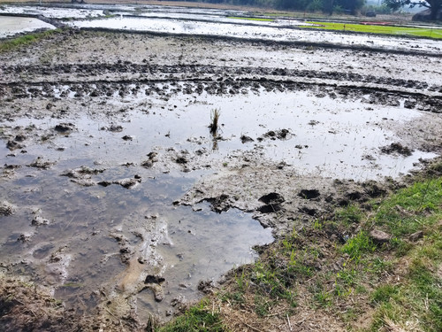 IMG 20231218 132118.jpg