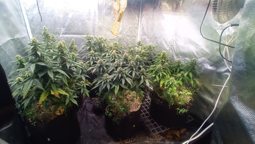 IMG 20231222 191819.jpg