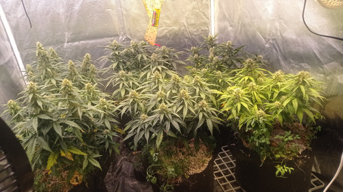 IMG 20231222 191832.jpg