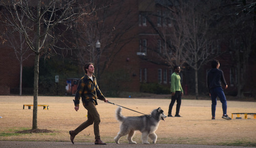 Copy of Dogs2023.02.10NT 1.jpg