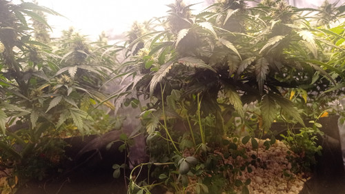 IMG 20231222 191900.jpg