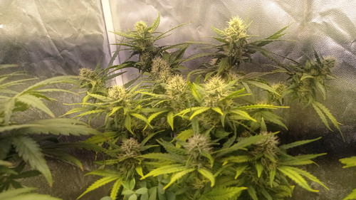 IMG 20231222 191850.jpg