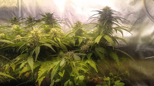 IMG 20231222 191855.jpg