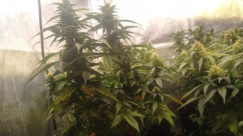 IMG 20231222 191904.jpg