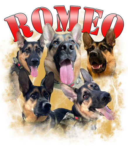 Custom dog Romeo.png