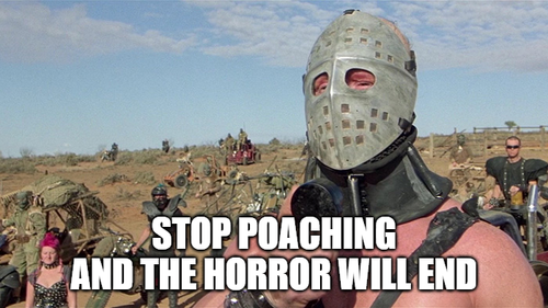 poaching.png