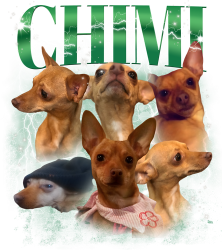 Chimi.png