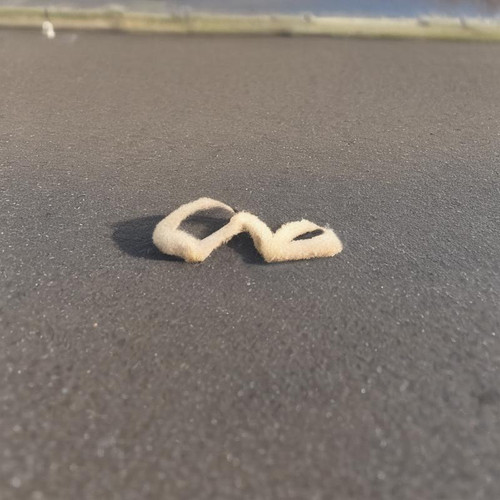 love?model=formulaxl&width=1024&height=1024&nologo=true&seed= 26573010331494.jpg
