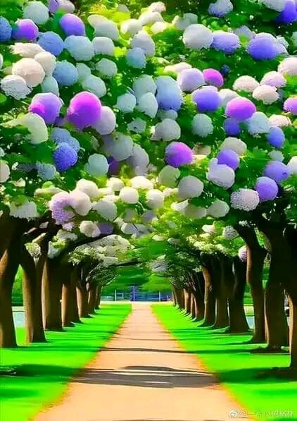 FB IMG 17011887779944916.jpg