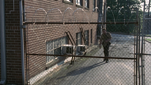 The Walking Dead Disc 1 004257.699.png