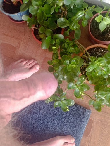 IMG 20231219 112539.jpg