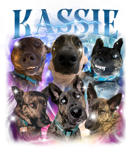 Kassie.png