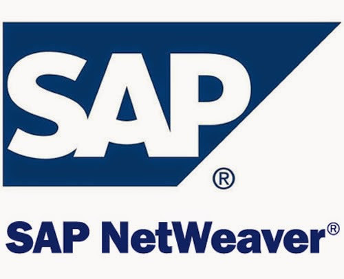 sap.jpg