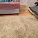 你这个小心眼的撒娇鬼.gif