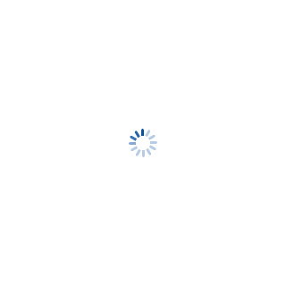 spinner.gif