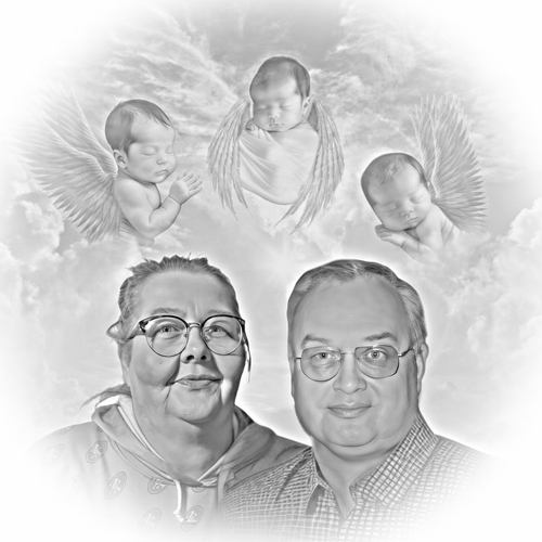 IMG 9557.png