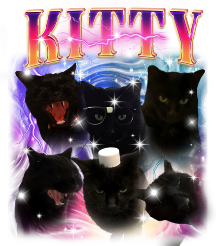 kitty.png