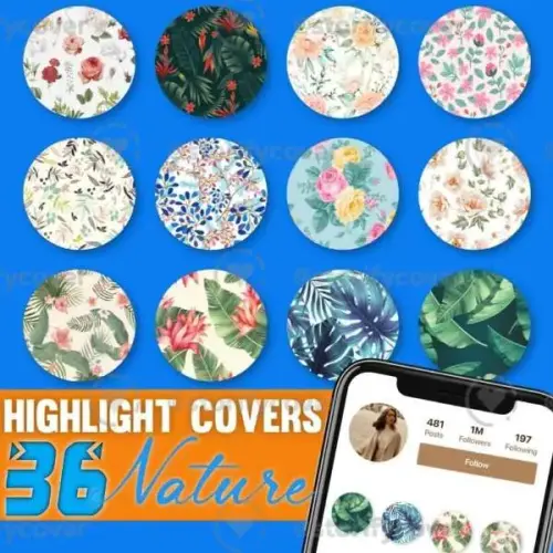 storifycover (3).webp