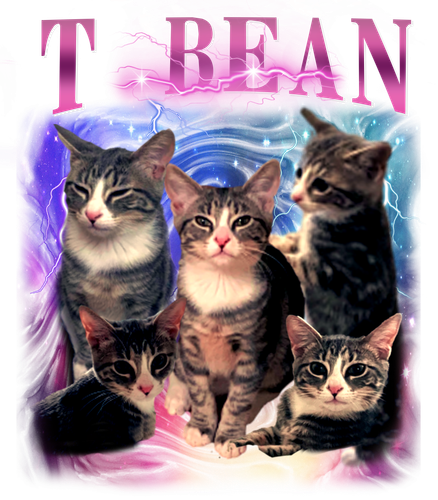 tbean.png