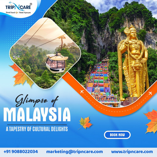 Explore the Glimpse of Malaysia with Tripncare A Tapestry of Cultural Delights.jpg