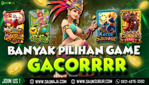 gacor.jpg