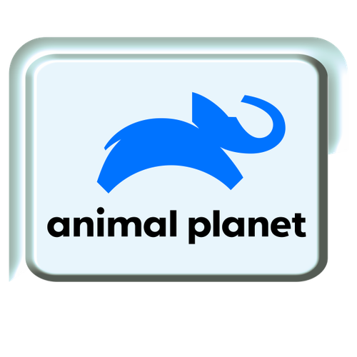 animal planet.png