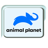 animal planet