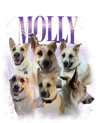 3141680021 Molly 2 f3.png