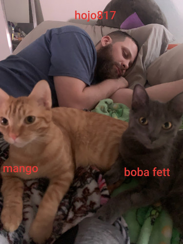 Attachment.jpg