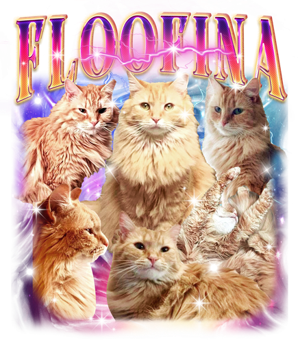 Floofina.png