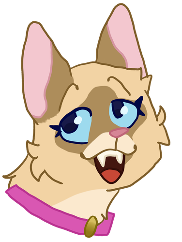 sasha.png