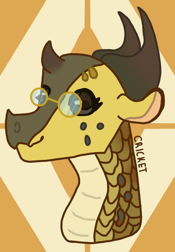 cricket.png