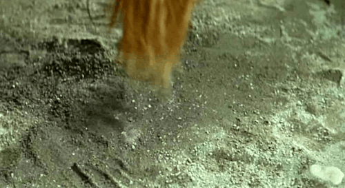 bbnh1.gif