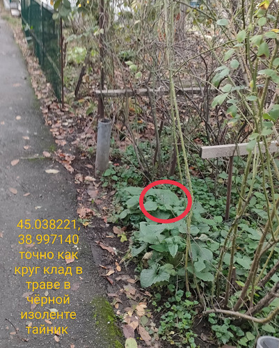 IMG 20231110 191836.jpg