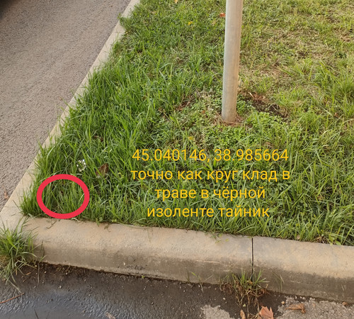 IMG 20231110 191604.jpg