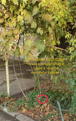 IMG 20231110 192512.jpg