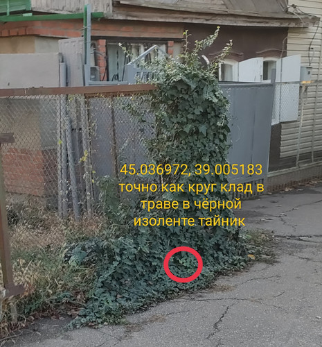 IMG 20231110 192431.jpg