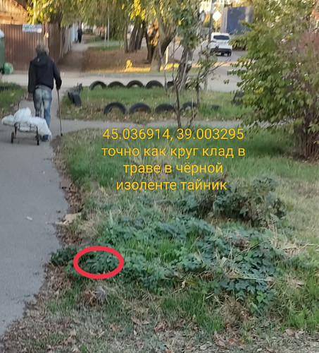 IMG 20231110 192354.jpg