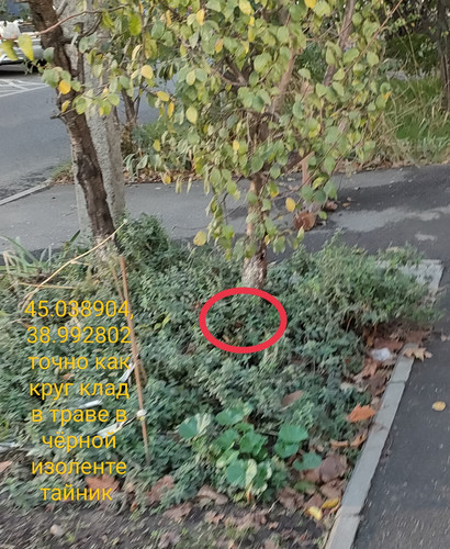 IMG 20231110 191737.jpg