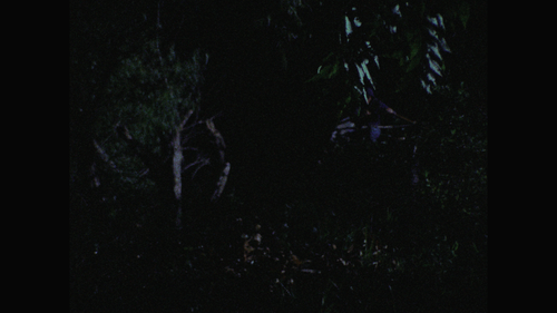 00007.m2ts 20231110 204808.217.png