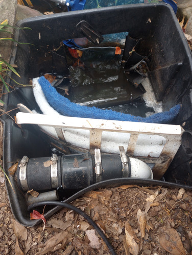 IMG 20231110 094210097.jpg