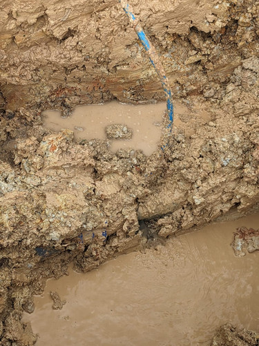 WhatsApp Image 2023 11 07 at 4.35.56 PM.jpg