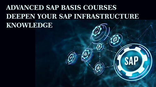 Advanced SAP Basis Courses Deepen Your SAP Infrastructure Knowledge.png